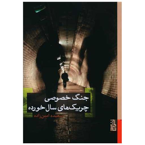 کتاب جنگ خصوصی چریک‌های سال‌خورده اثر سعیده امین زاده