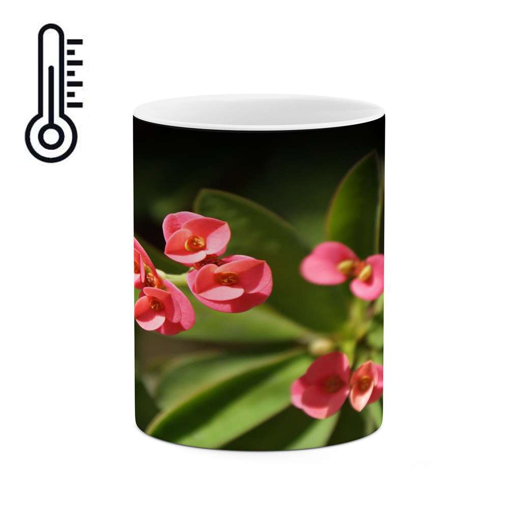 ماگ حرارتی کاکتی طرح گل مدل mgh17712