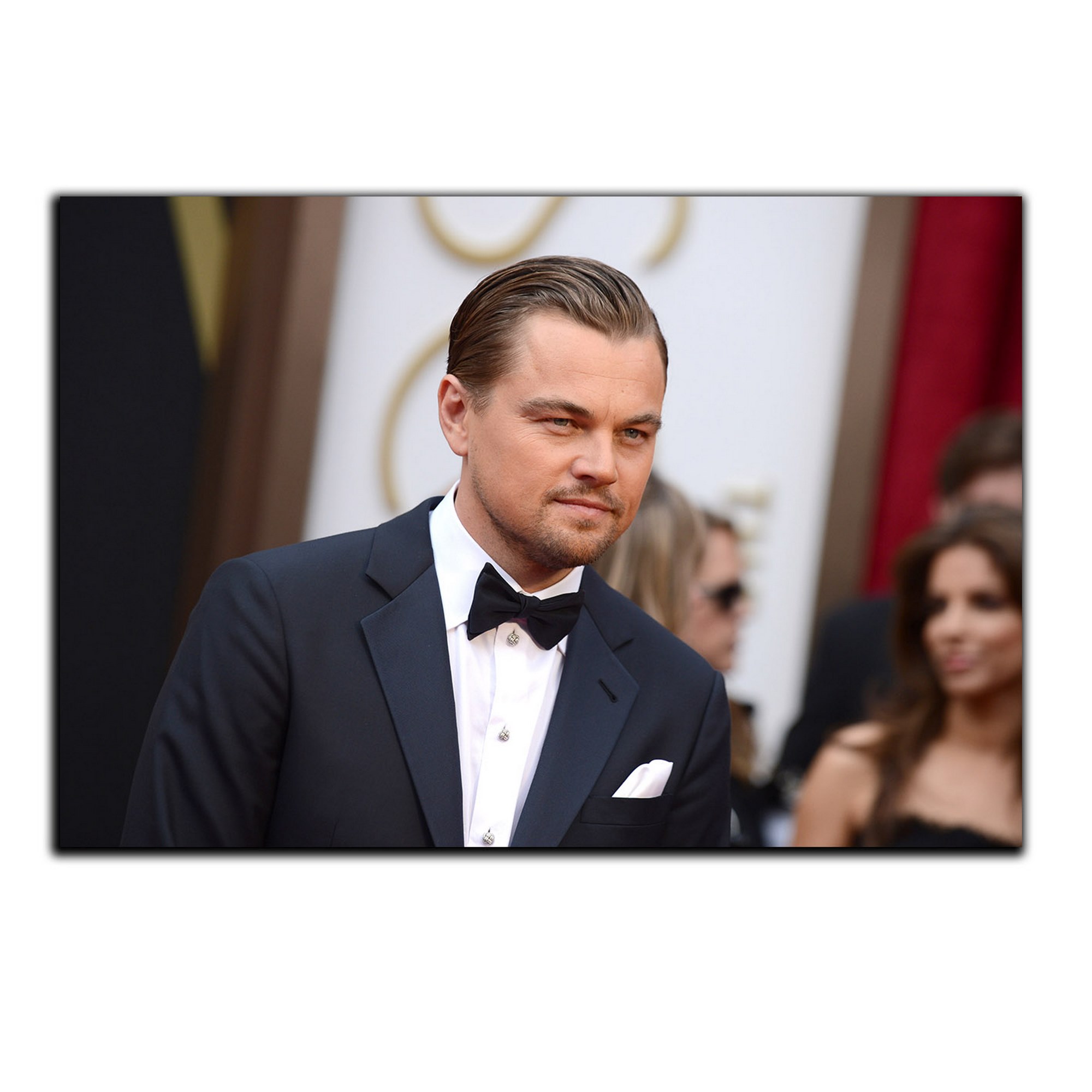 تابلو شاسی بکلیت طرح بازیگر مرد لئوناردو دیکاپریو مدل SH-6286
