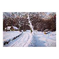 تابلو نقاشی رنگ روغن طرح منظره برفی مدل سکوت جنگل کد 02