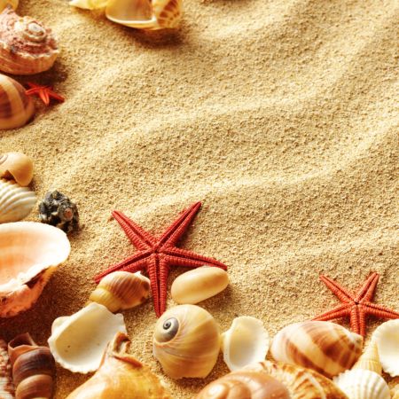 خرید و دانلود عکس Background-Part-7 کد 5855 | پیک فاکس | Pic Fox