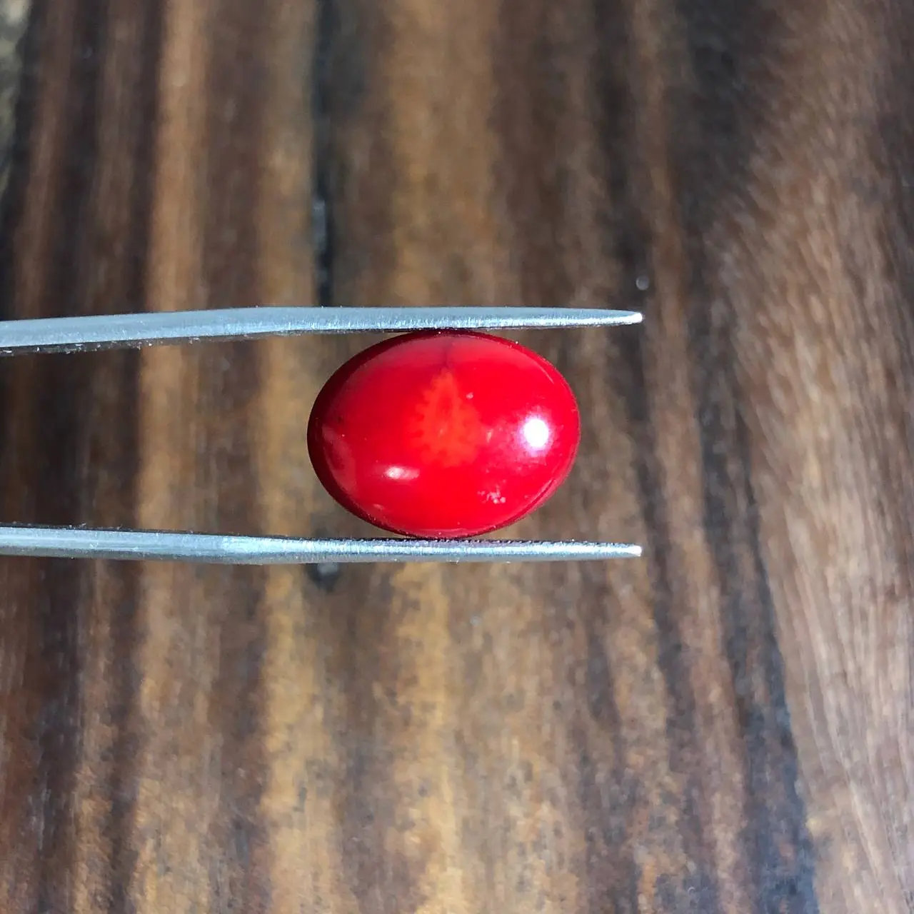 سنگ مرجان رنگ شده بهسازی شده 241320