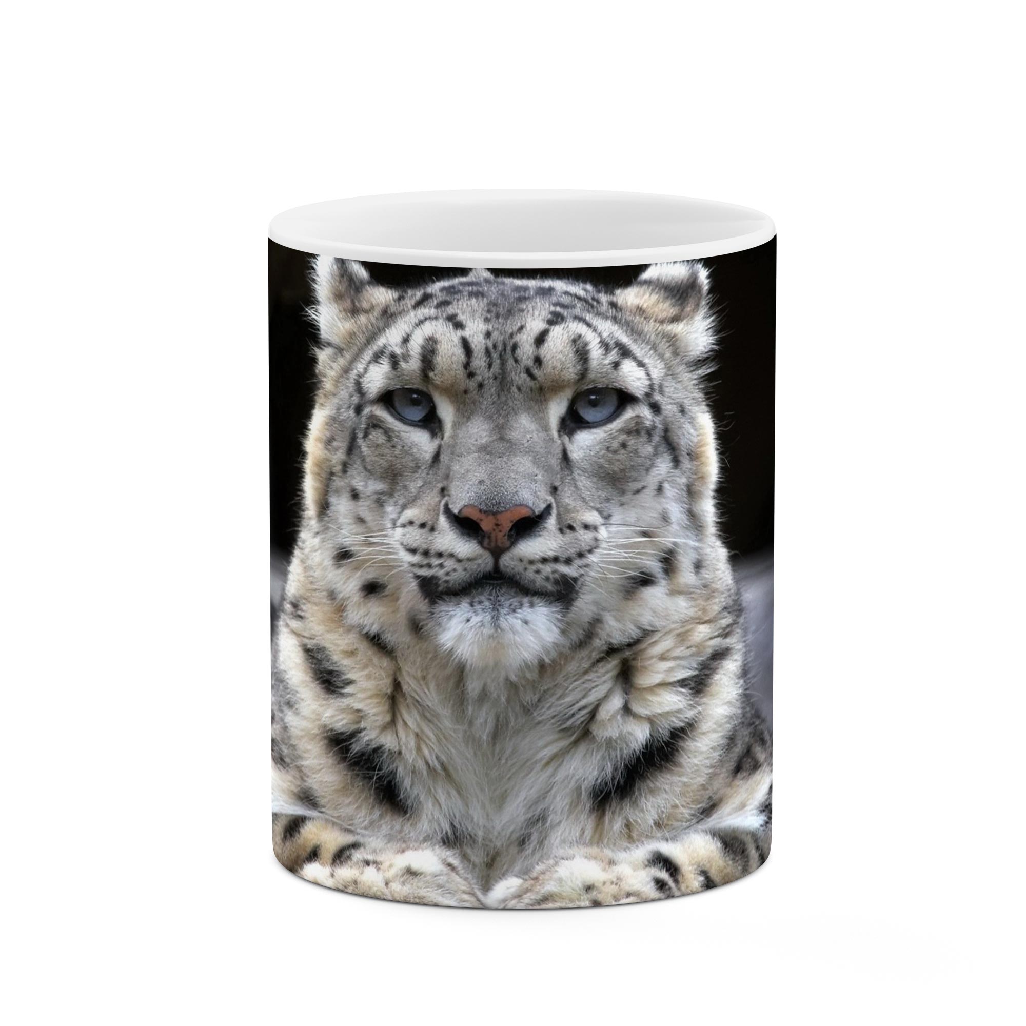 ماگ  مدل mgp02649