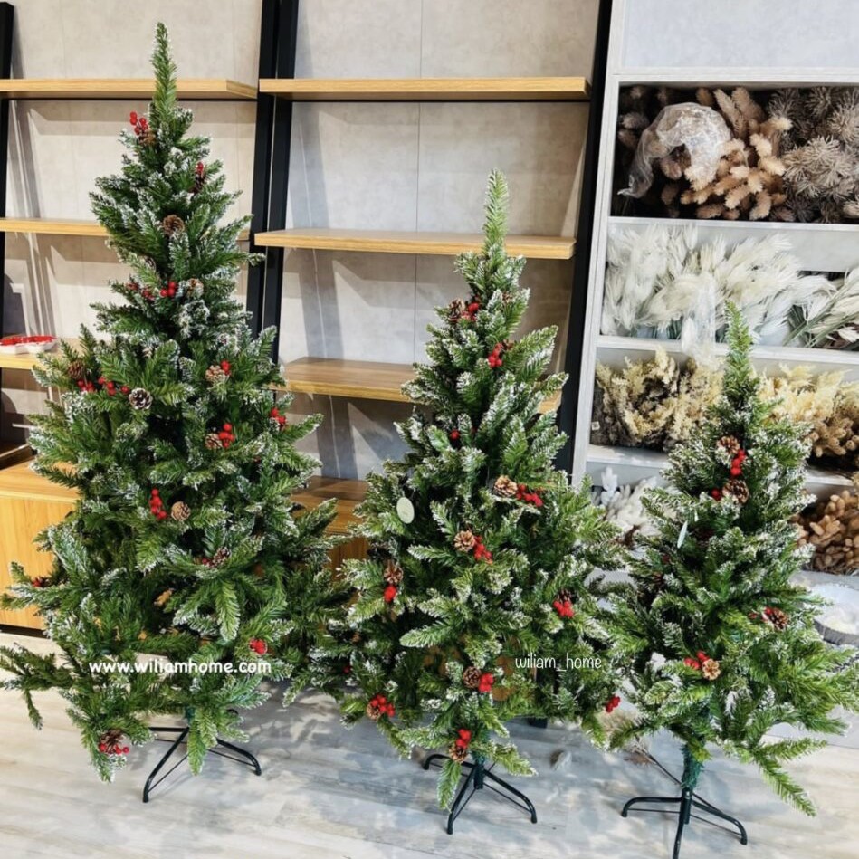 درخت کاج و میوه کریسمس180سانت