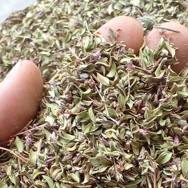 آویشن خشک شده کوهی 