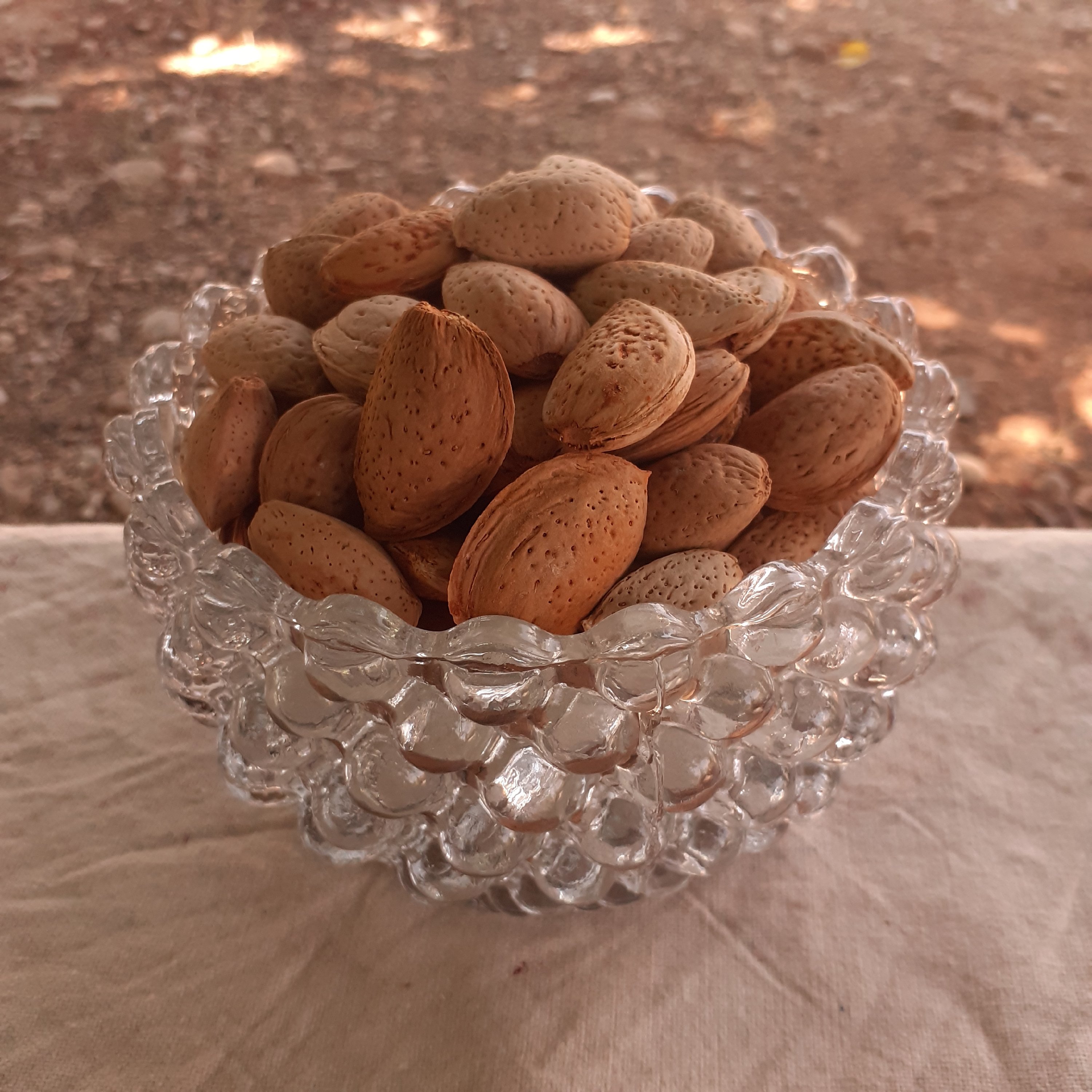 بادام سنگی امسالی ارگانیک (یک کیلو)