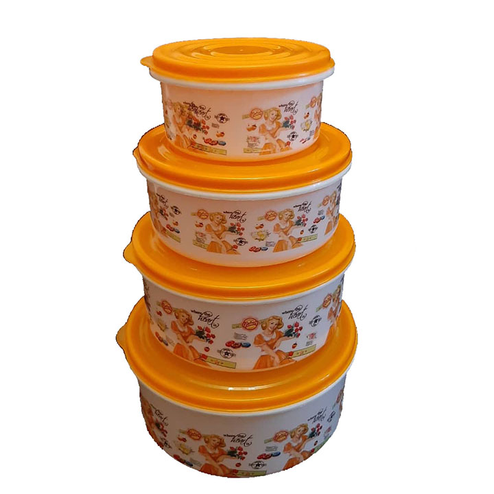 ظرف نگهدارنده مدل رزمن مجموعه 4 عددی