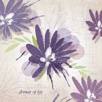 خرید و دانلود عکس ShutterStock-2014-Backgrounds &amp; Textures کد 53168 | پیک فاکس | Pic Fox