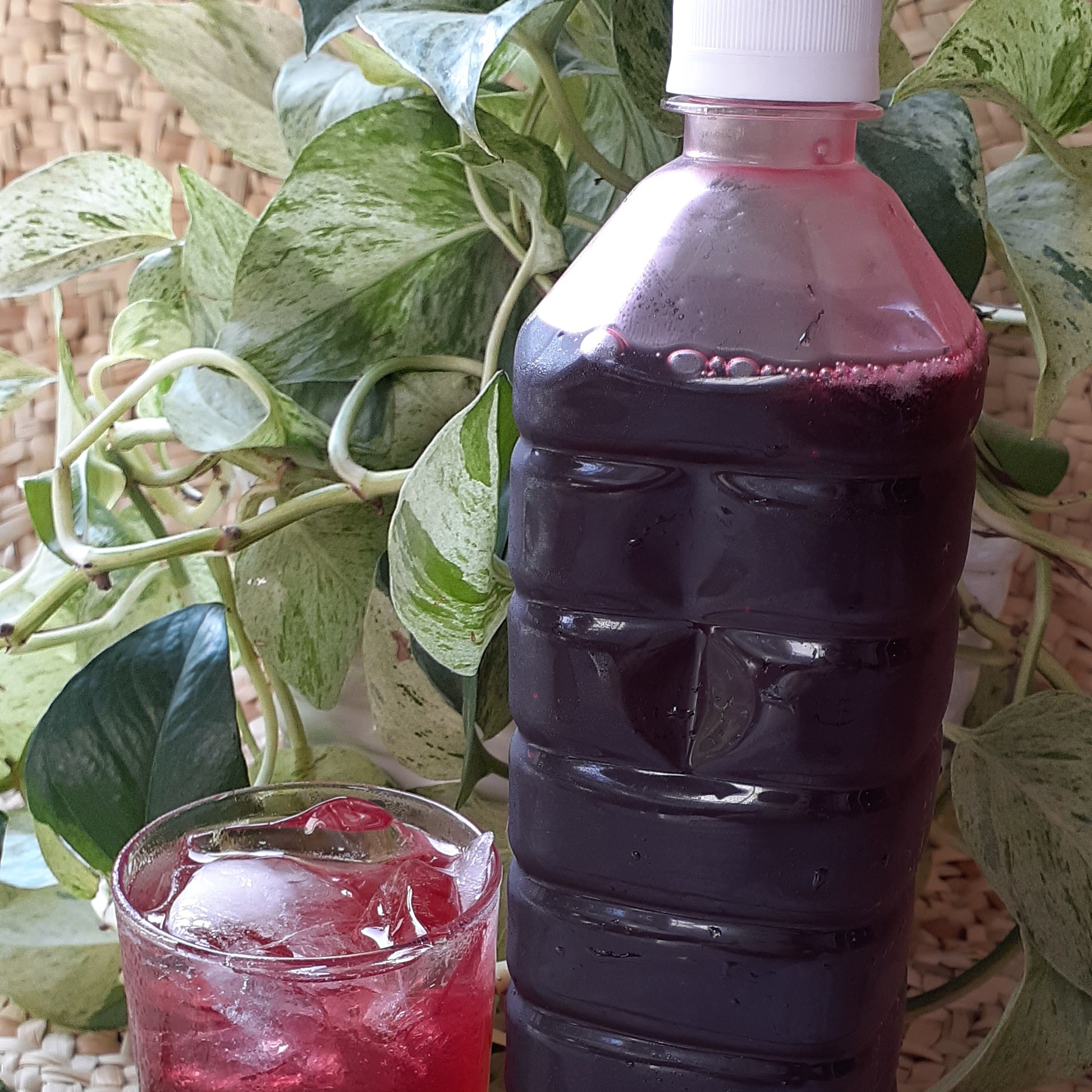 شربت آلبالوغلیظ