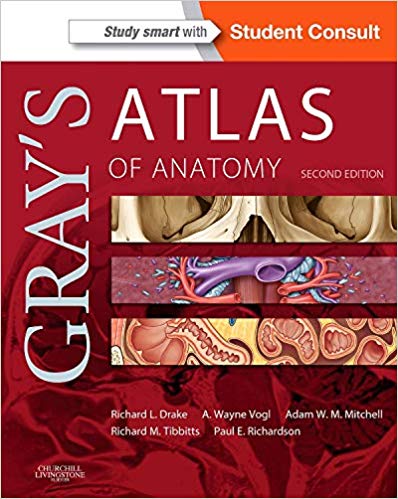  دانلود کتاب Gray'S Atlas Of Anatomy, 2nd ed, 2014 - دانلود کتاب های دانشگاهی