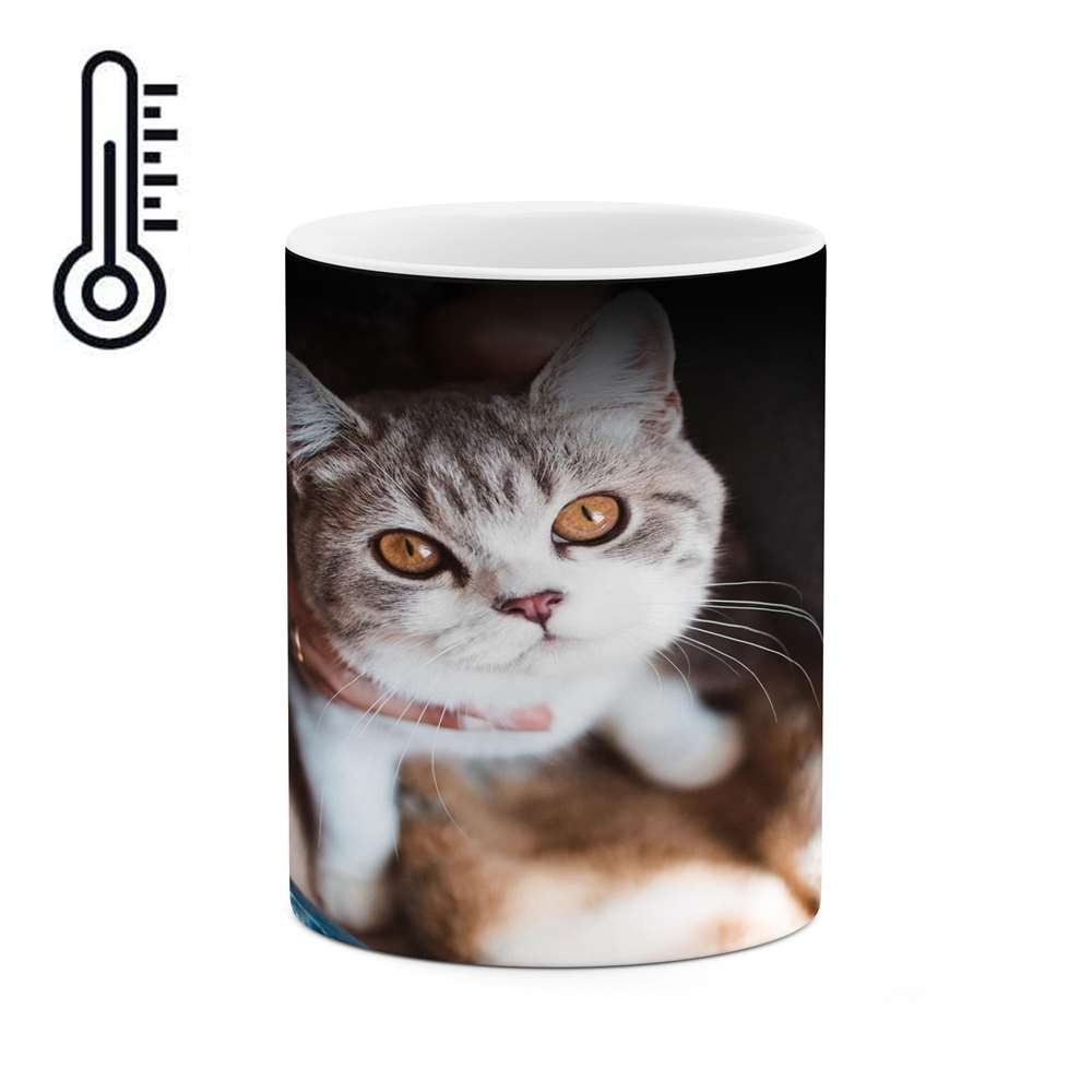 ماگ حرارتی کاکتی طرح گربه مدل mgh14090