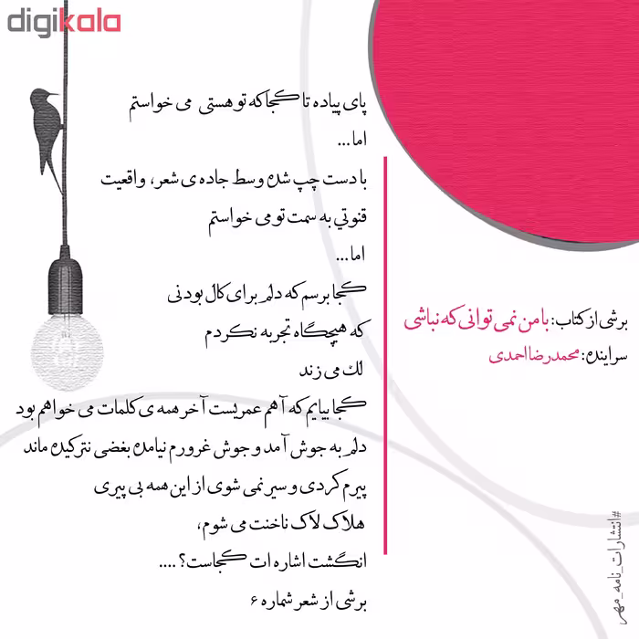 کتاب با من نمی توانی که نباشی اثر محمدرضا احمدی انتشارات نامه مهر