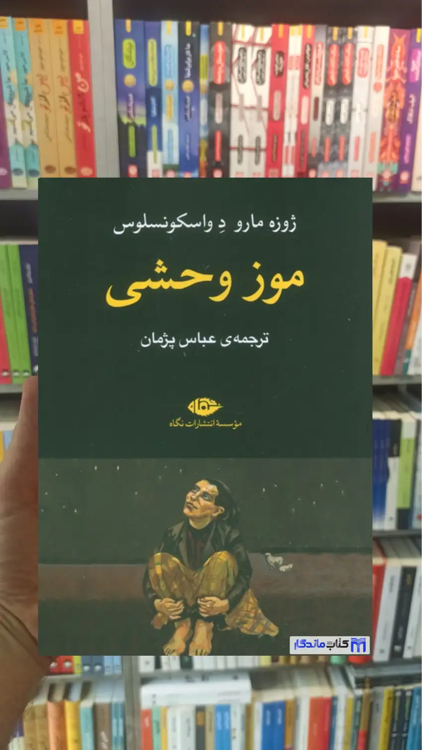 موز وحشی واسکونسلوس نگاه - بانک کتاب ماندگار-قیمت-خرید-کتاب-کمک-درسی-کنکور-دانشگاهی
