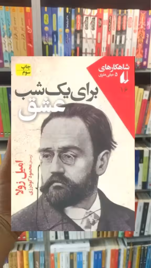 برای یک شب عشق افق