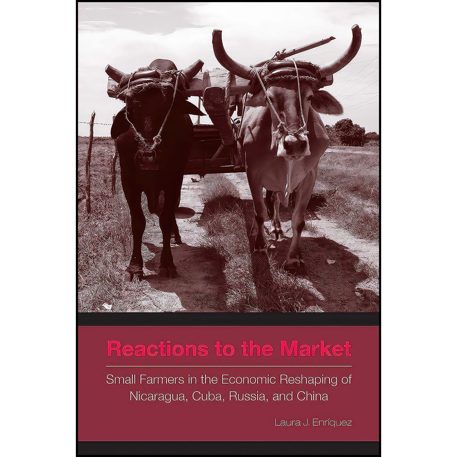 کتاب زبان اصلی Reactions to the Market اثر Laura J Enriquez