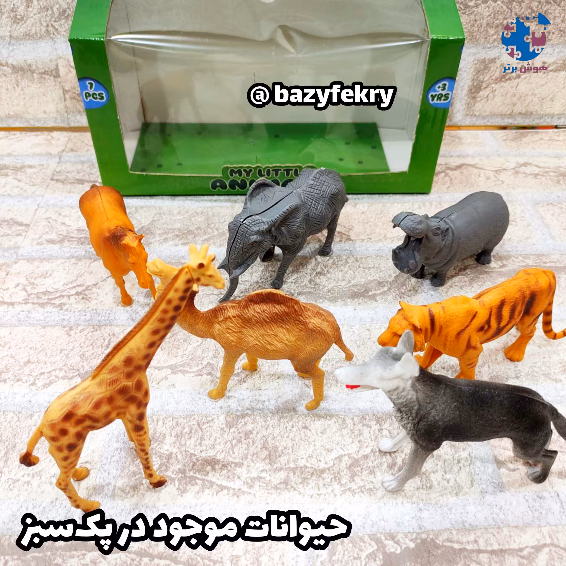 فیگور حیوانات وحشی بسته ی جعبه ای