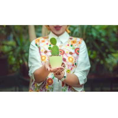 گلدان گل آذین مدل پلاستیکی مربع کد5 مجموعه 7عددی