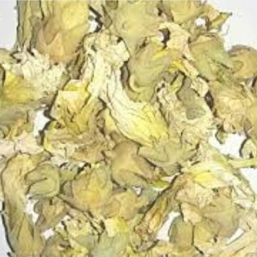 گیاه ختمی سفید