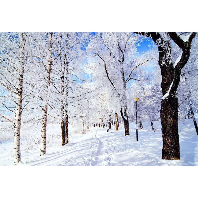 تابلو شاسی طرح منظره زمستانی برف درخت مدل T1431 | دنیای قاب