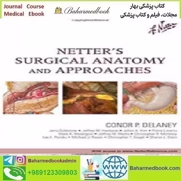 Netter's Surgical Anatomy and Approaches 2014 TRUE PDF price