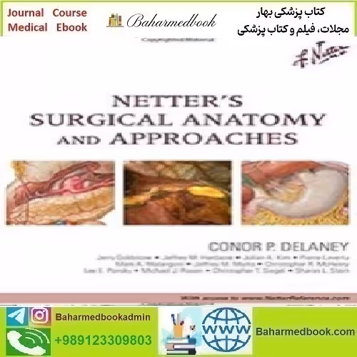 Netter's Surgical Anatomy and Approaches 2014 TRUE PDF price