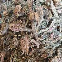 ریشه قاصدک - 1 کیلو