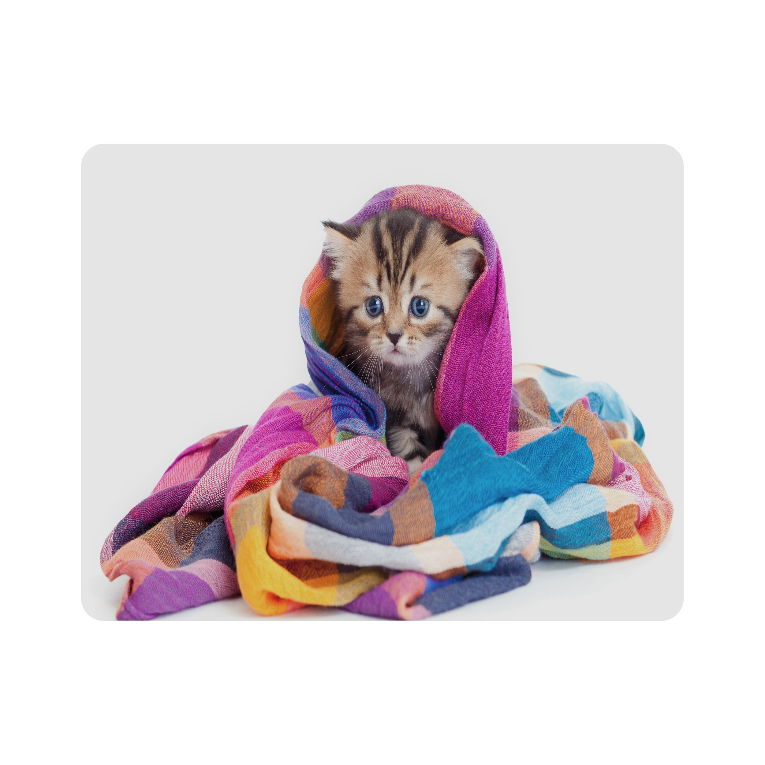 ماوس پد اطلس آبی طرح گربه  مدل T7733