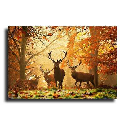 تابلو شاسی مدل 6MIX 30