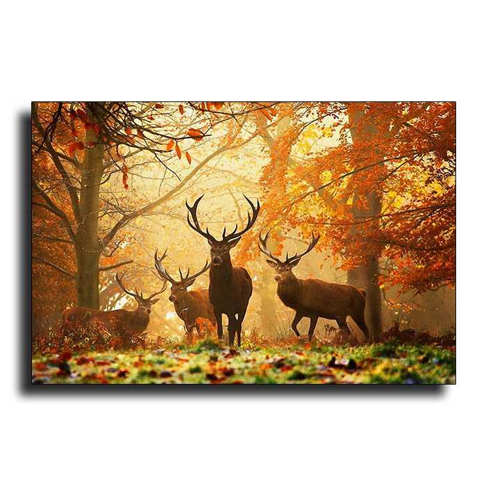 تابلو شاسی مدل 6MIX 30