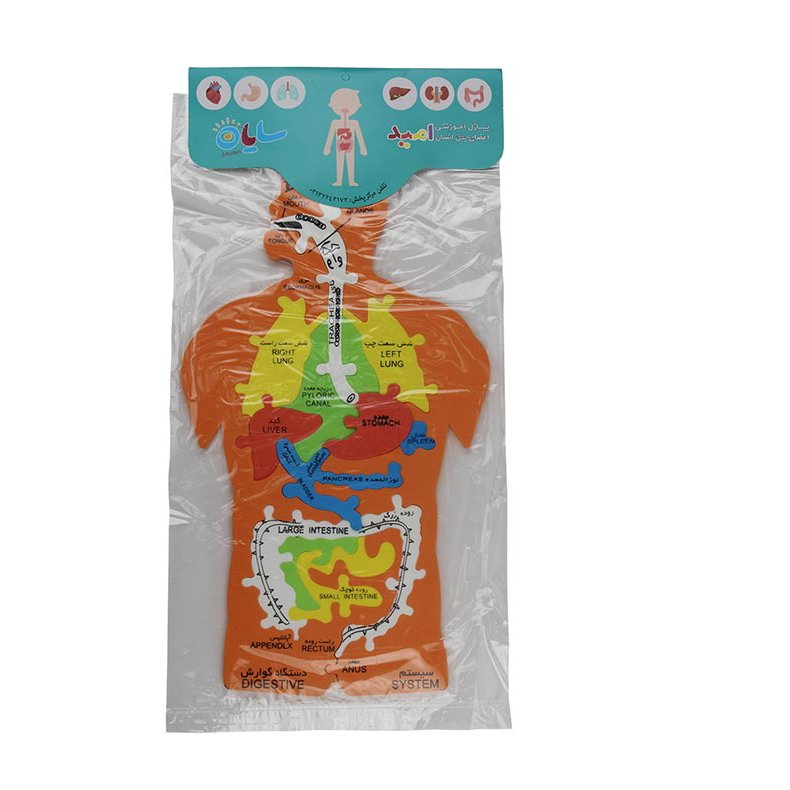 پازل جورچین فومی آموزشی اعضای بدن مولاژ رنگ سفید