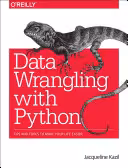 خرید و دانلود نسخه کامل کتاب Data Wrangling Using Python: Tips and Tools to Make Your Life Easier