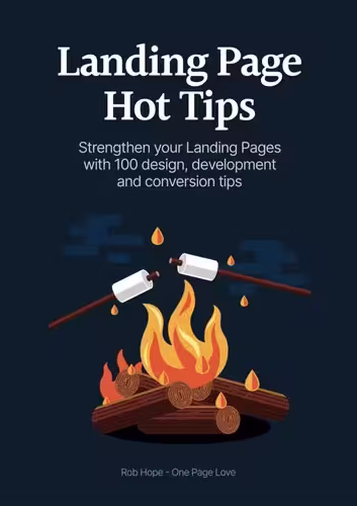 خرید و دانلود نسخه کامل کتاب Landing Page Hot Tips