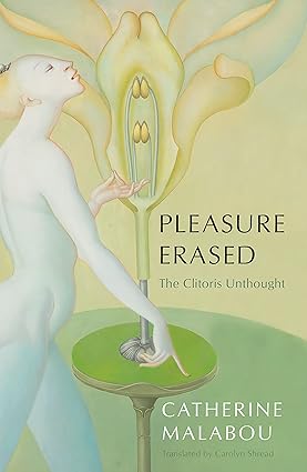 خرید و دانلود نسخه کامل کتاب Pleasure Erased: The Clitoris Unthought -   Pdf