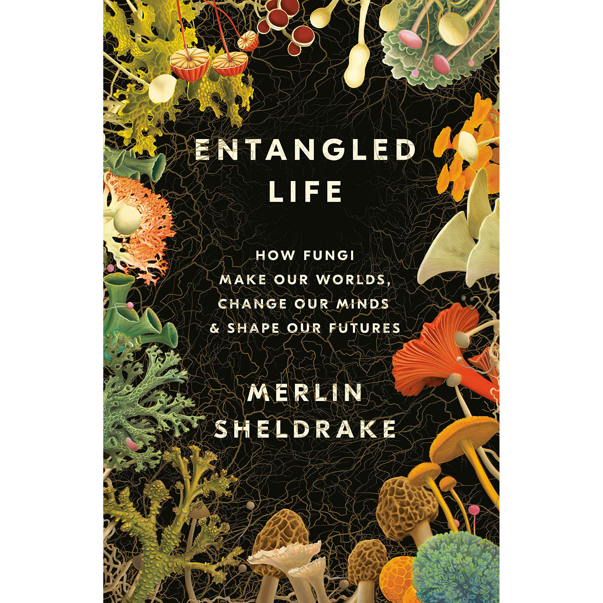 کتاب Entangled Life اثر Merlin Sheldrake انتشارات Random House