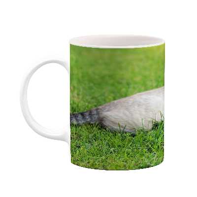 ماگ کاکتی طرح گربه مدل mgs17434