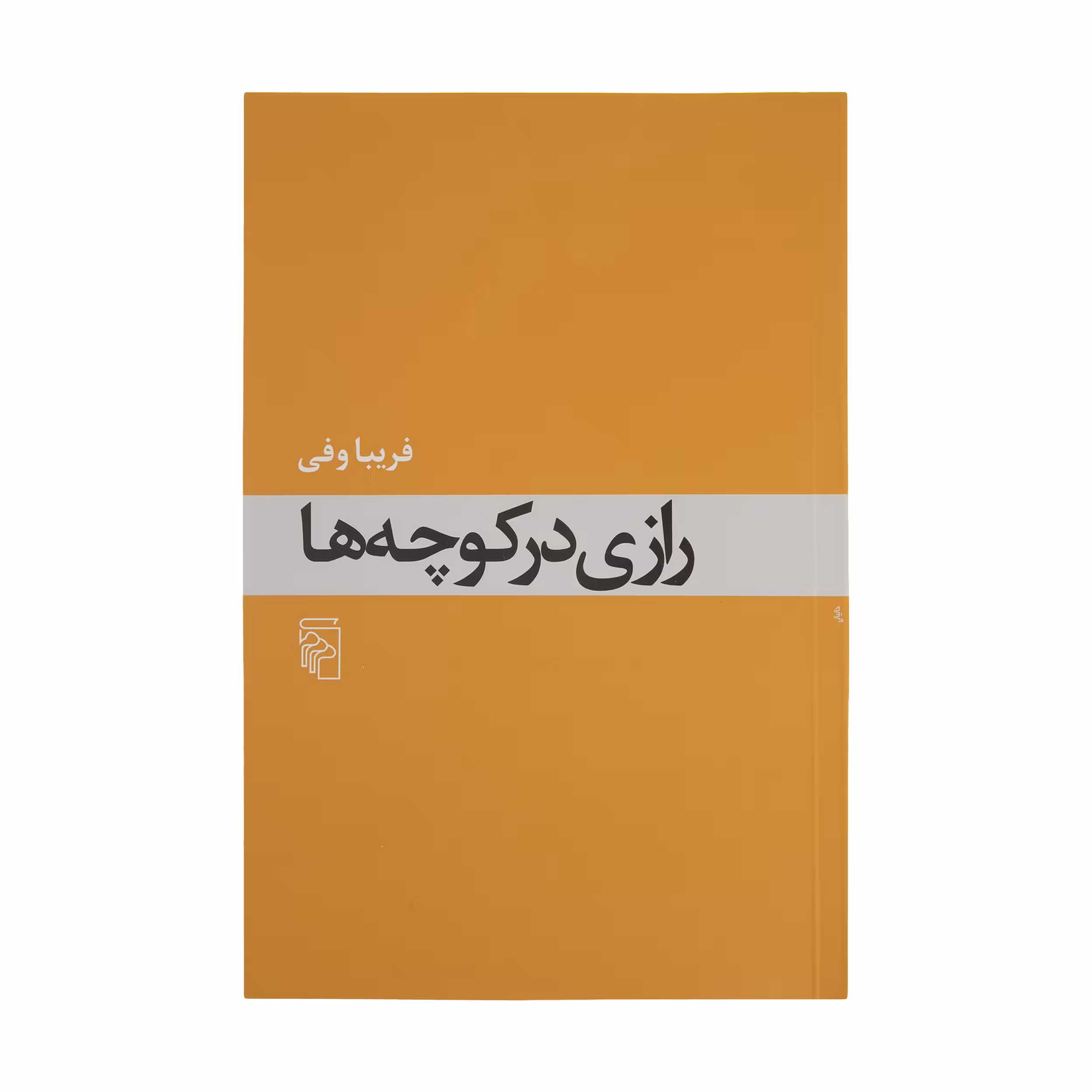 کتاب رازی در کوچه ها اثر فریبا وفی