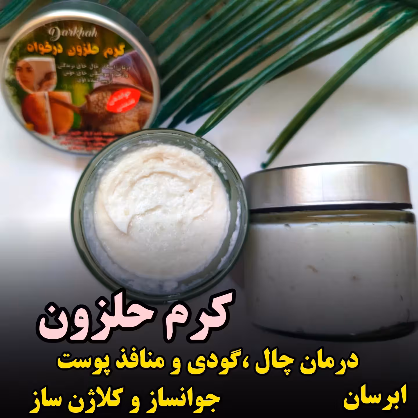 کرم حلزون درخواه
