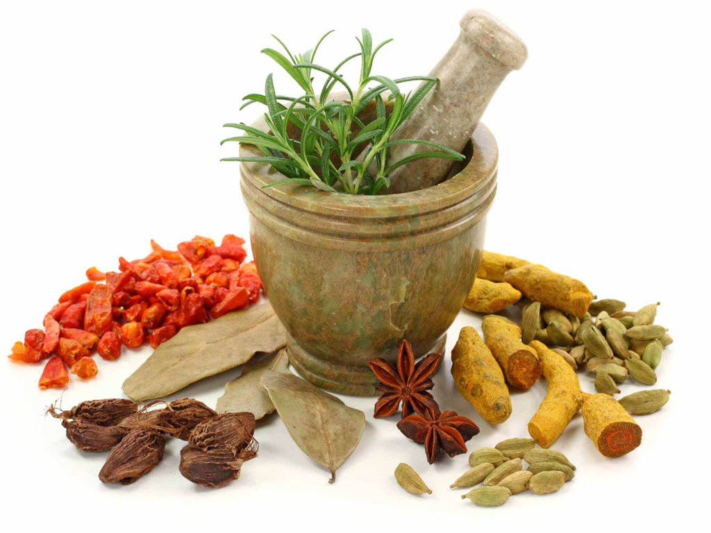 پاورپوینت طرح توجیهی کشت و پرورش گلها و گیاهان دارویی و صنعتی