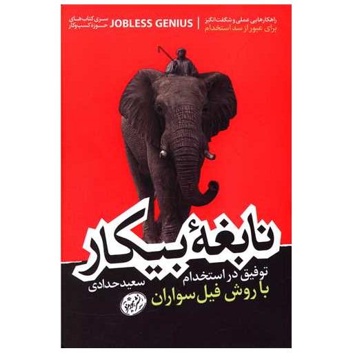 کتاب نابغه بیکار اثر سعید حدادی