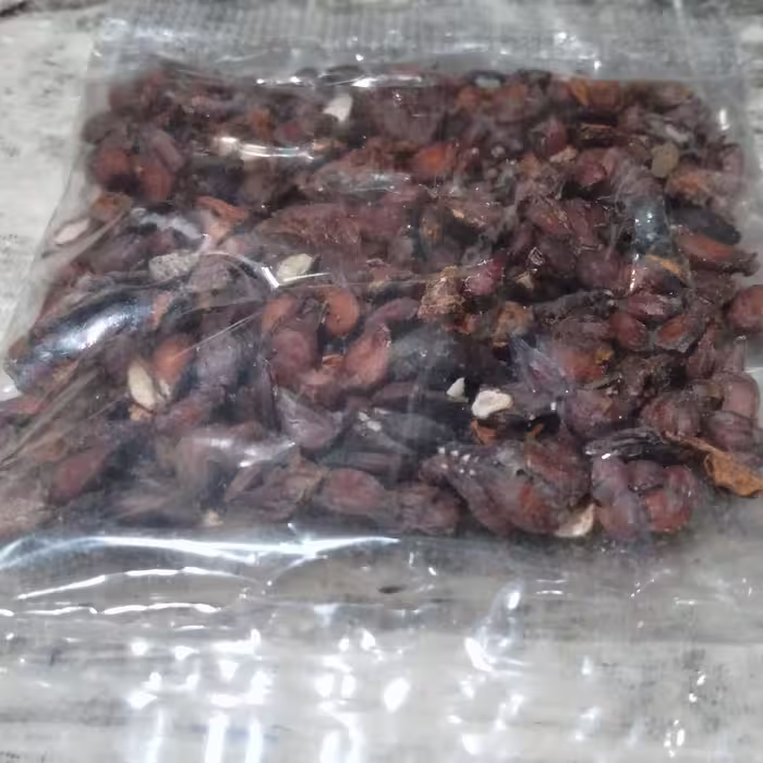 به دانه مرغوب
