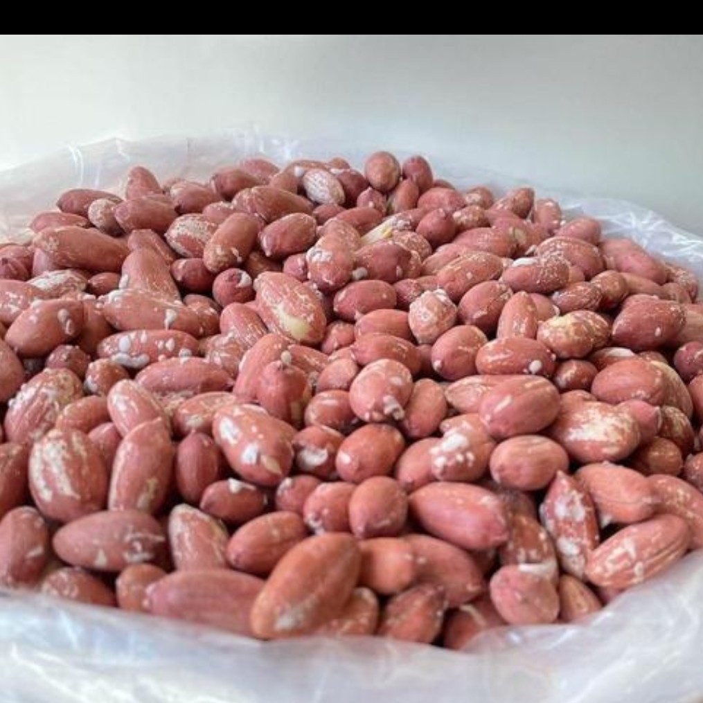 بادام زمینی آستانه اشرفیه(ترد و تازه) یک کیلوگرمی 