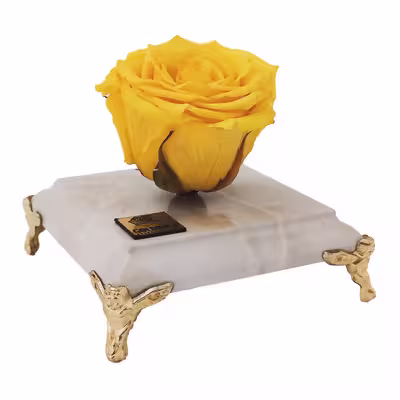 گل رز جاودان مدل Yellow162