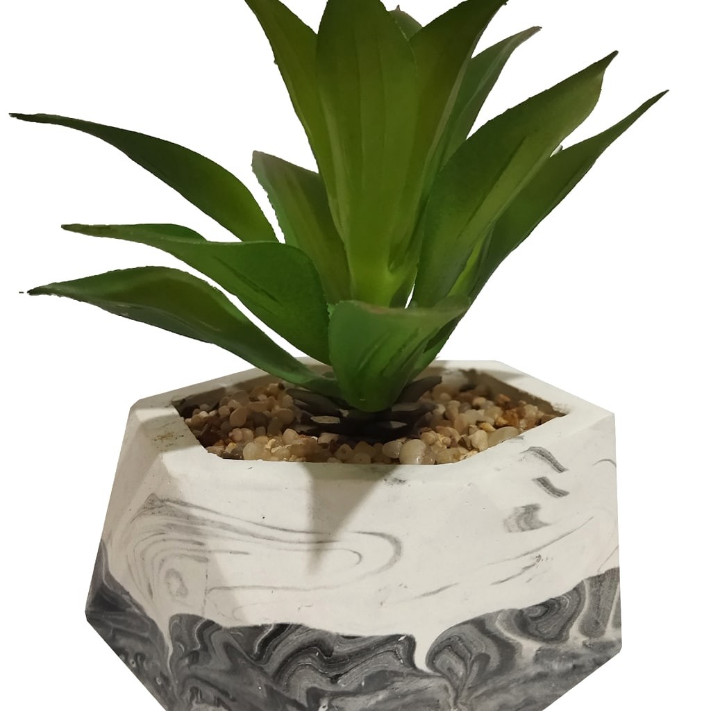 گلدان کاکتوس بتنی کد 14093