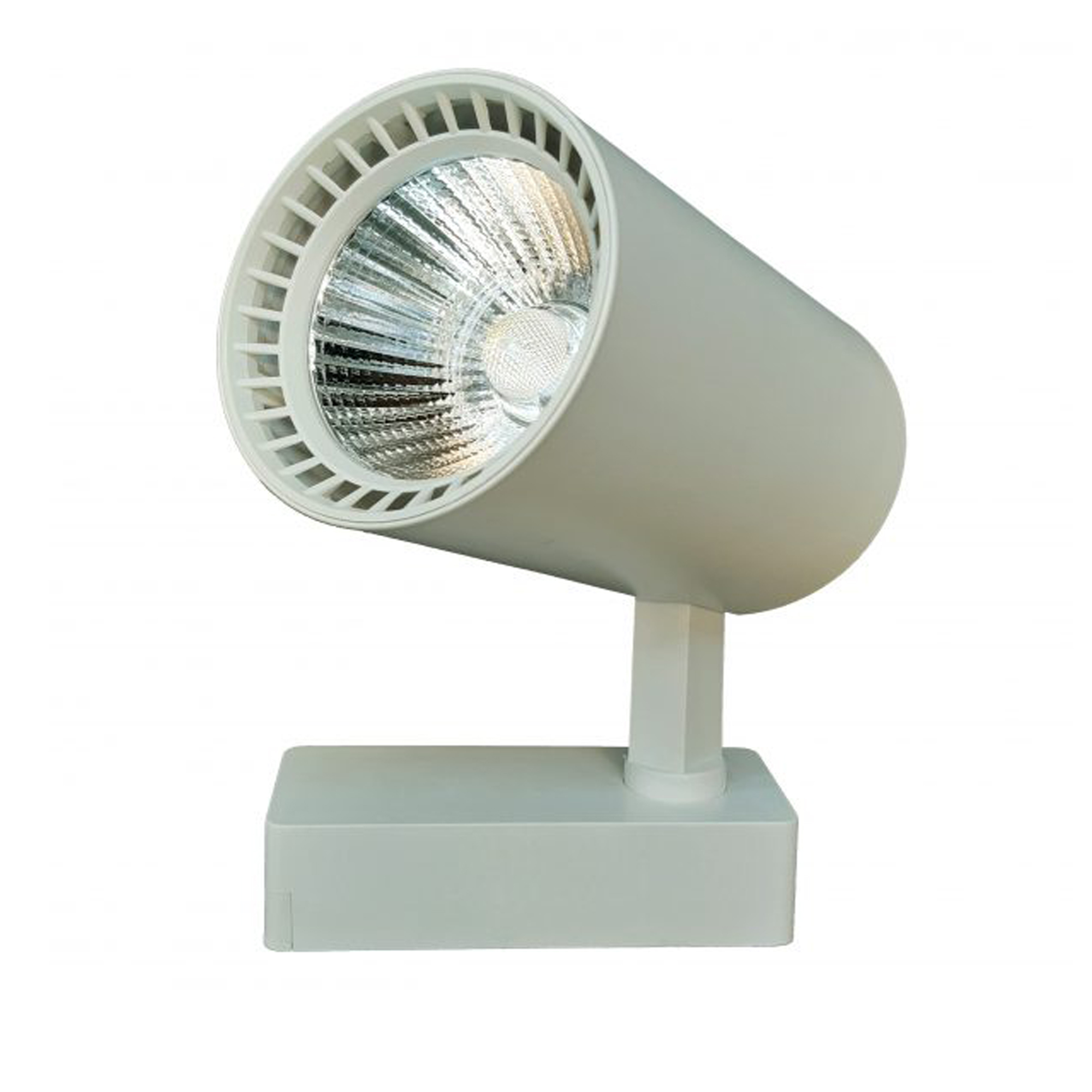 چراغ ریلی 30 وات مدل TL 4530