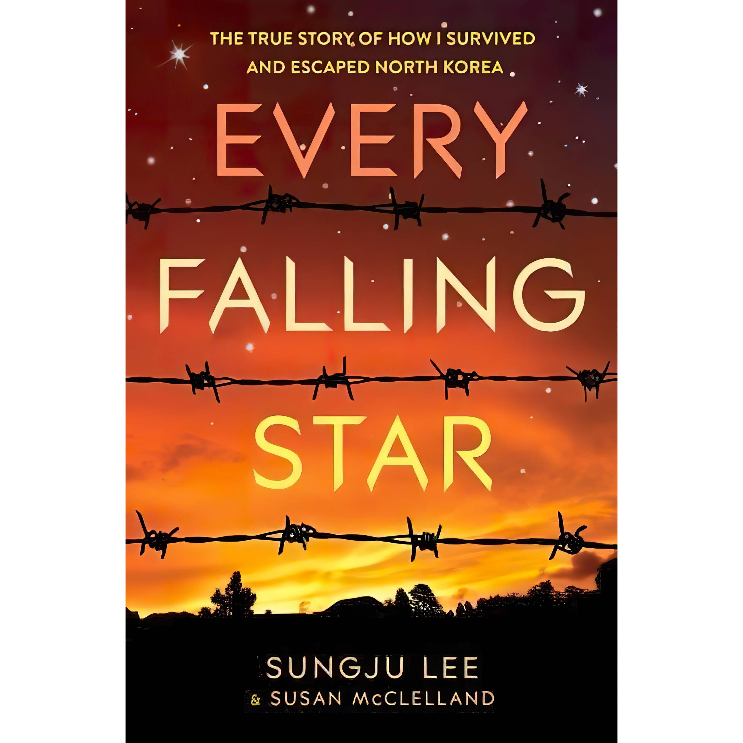 کتاب Every Falling Star اثر Sungju Lee and Susan Elizabeth McClelland انتشارات UK Amulet Books