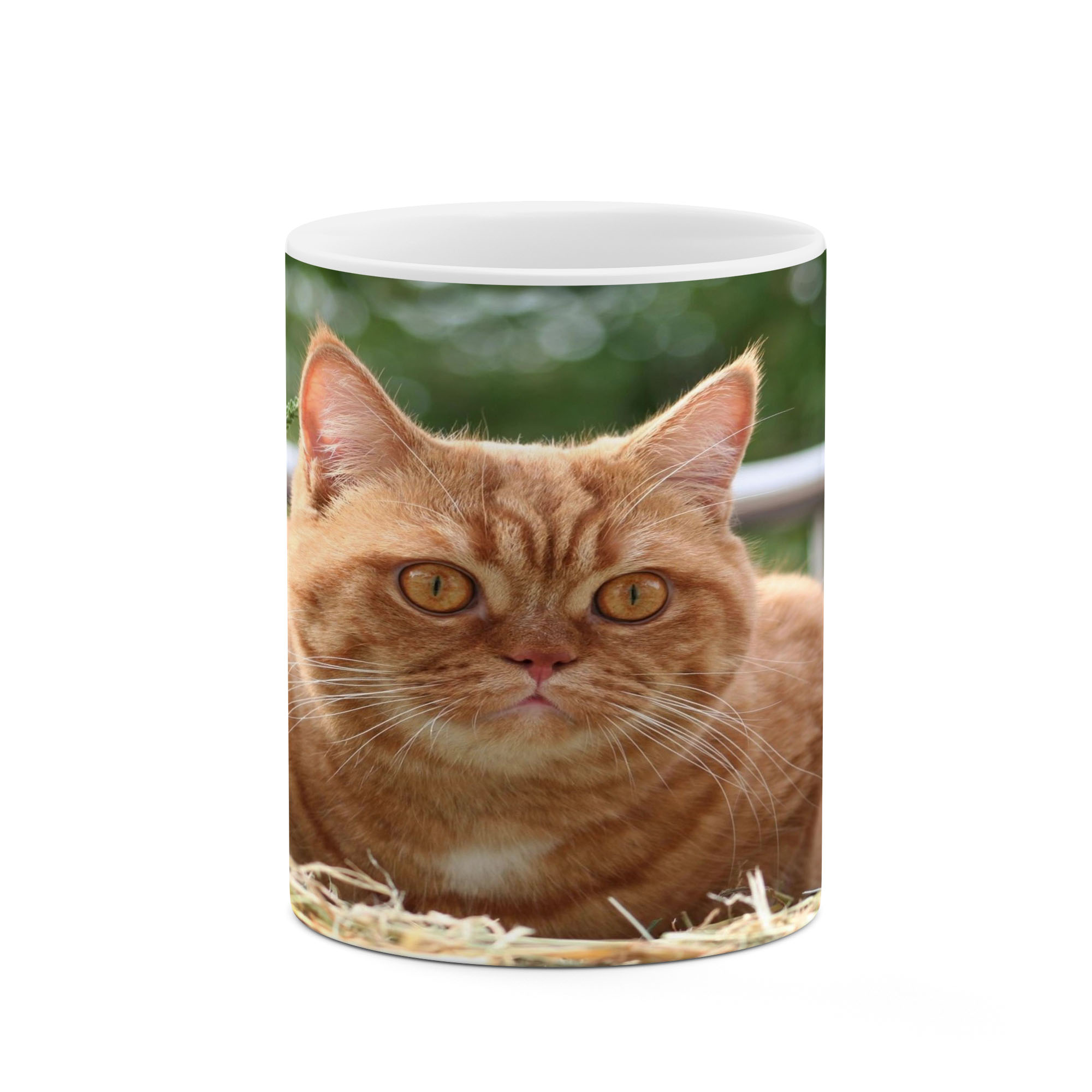 ماگ کاکتی طرح گربه مدل mgs17242