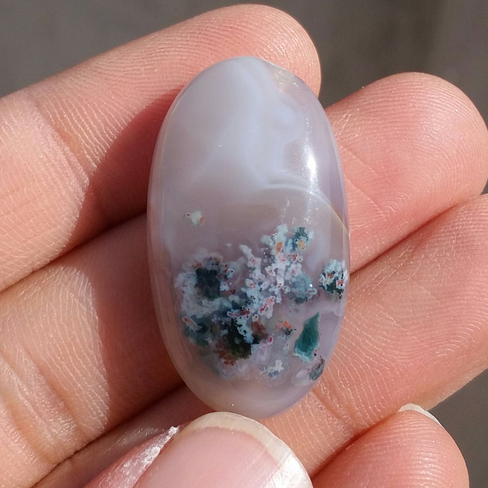 نگین شجر شکوفه هفت رنگ شاهکار خلقت با شجر های واضح و بی نظیر و چشم نواز کد 10193