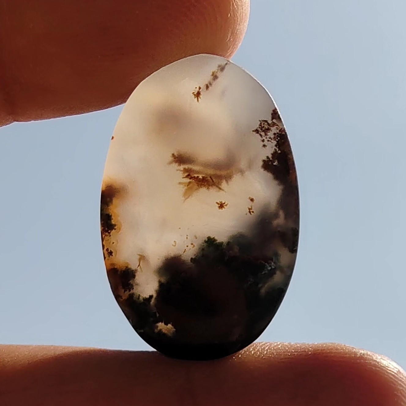 نگین عقیق شجر منظره قاصدک دار 