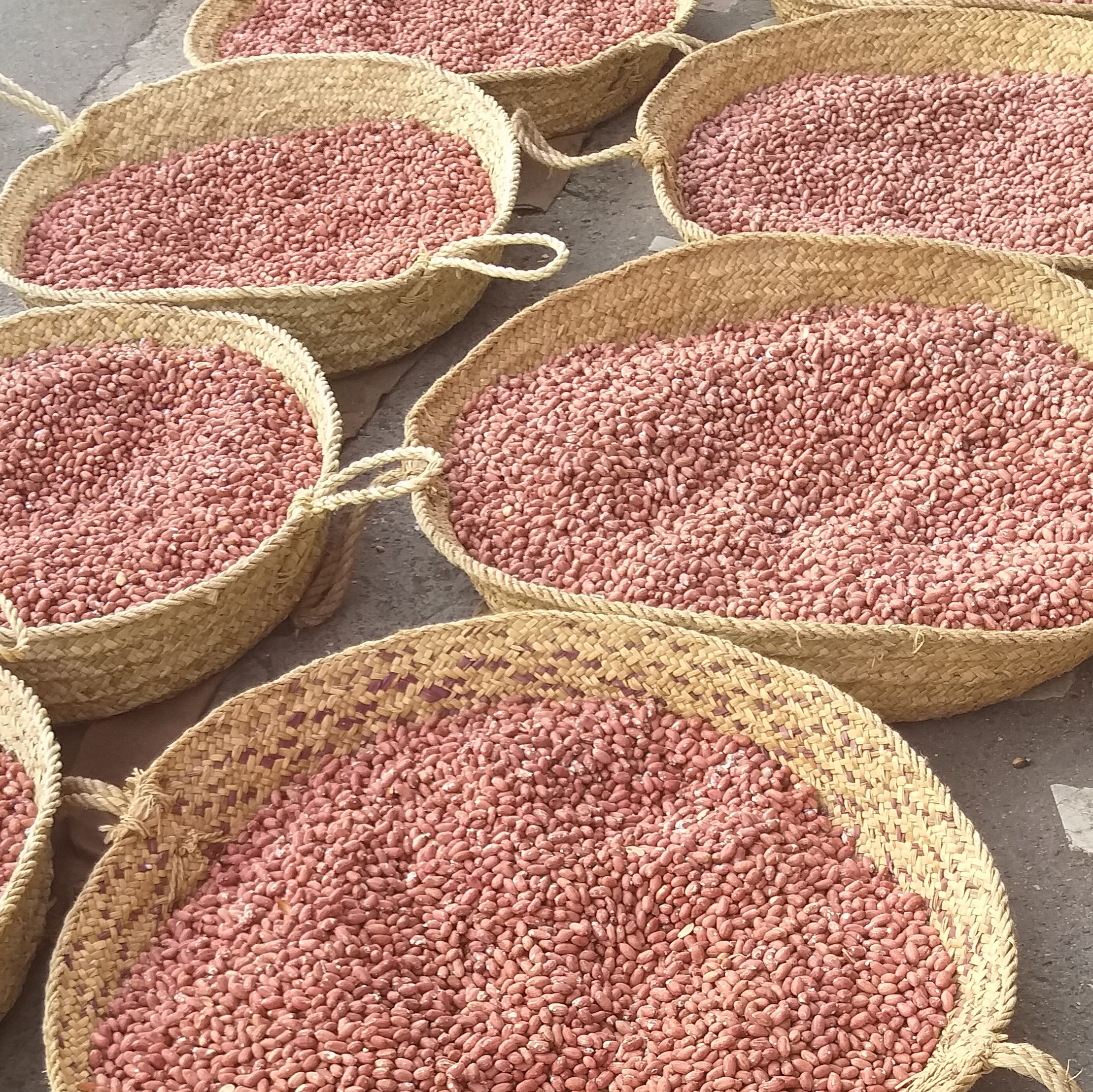 بادام زمینی  تازه  اعلا  ارسال رایگان آستانه اشرفیه دو کیلویی 