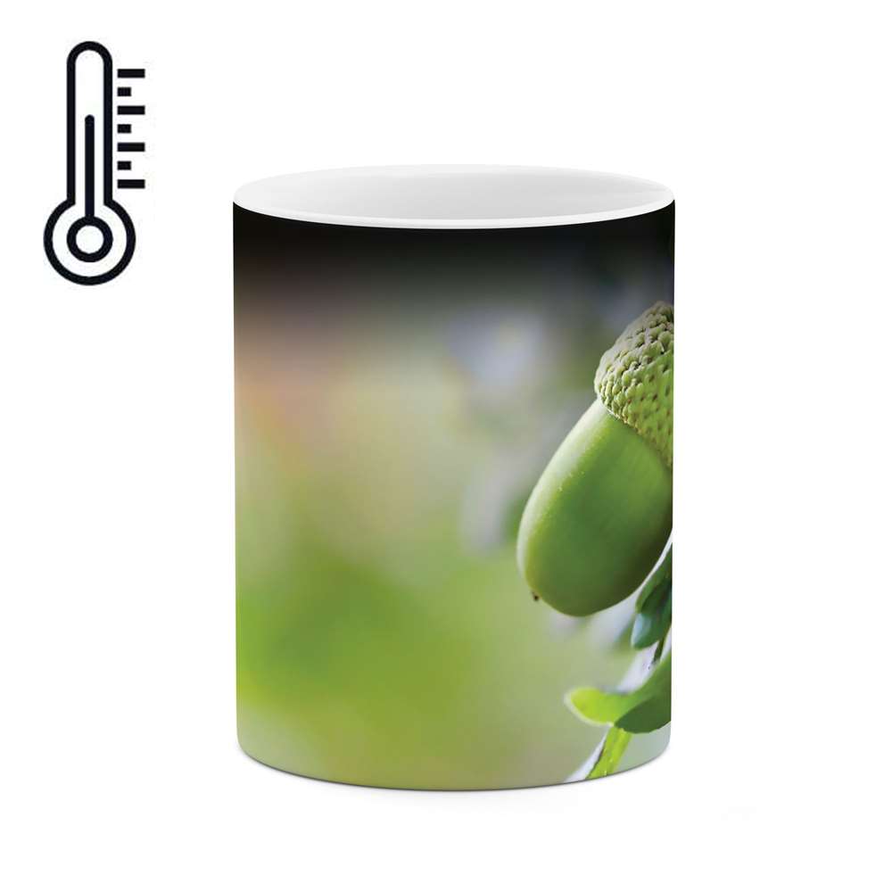 ماگ حرارتی طرح میوه ها مدل mgh03812